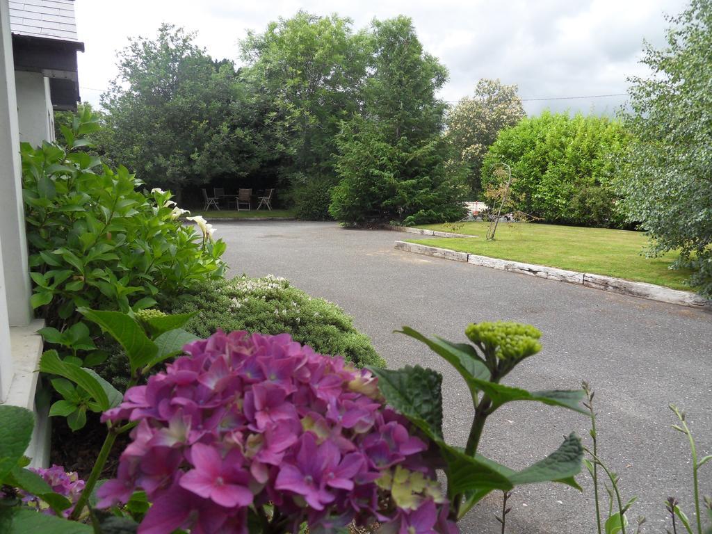 Ethan House Holiday Suites Killarney Dış mekan fotoğraf