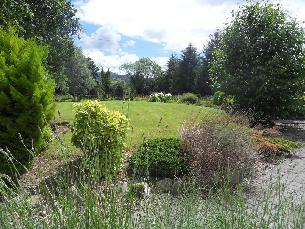 Ethan House Holiday Suites Killarney Dış mekan fotoğraf